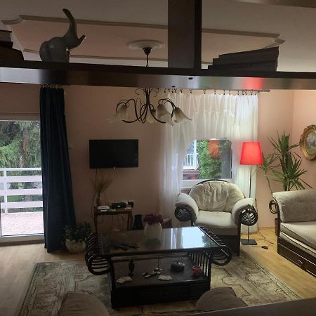 Apartmani Stojanovic Sremska Kamenica Buitenkant foto