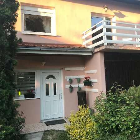 Apartmani Stojanovic Sremska Kamenica Buitenkant foto