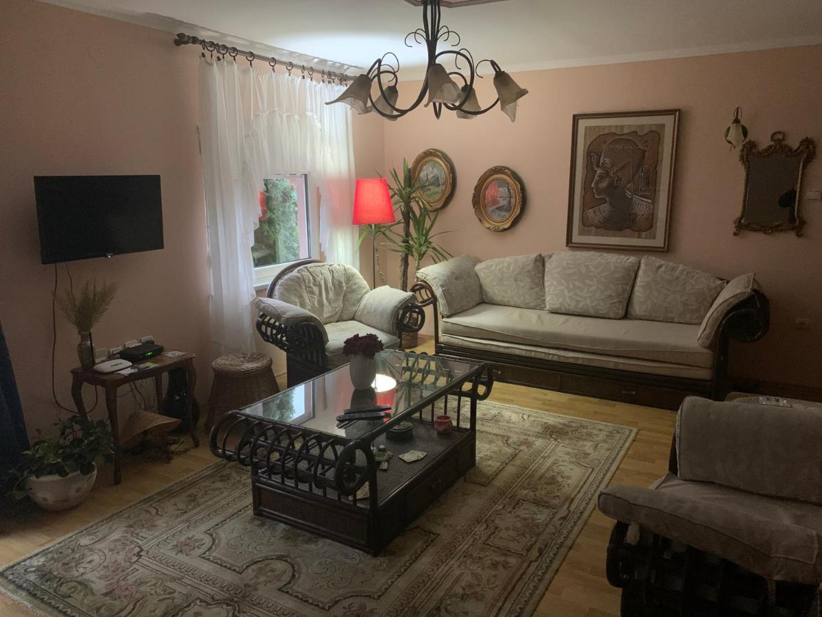 Apartmani Stojanovic Sremska Kamenica Buitenkant foto