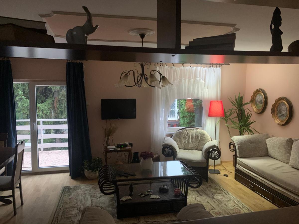 Apartmani Stojanovic Sremska Kamenica Buitenkant foto