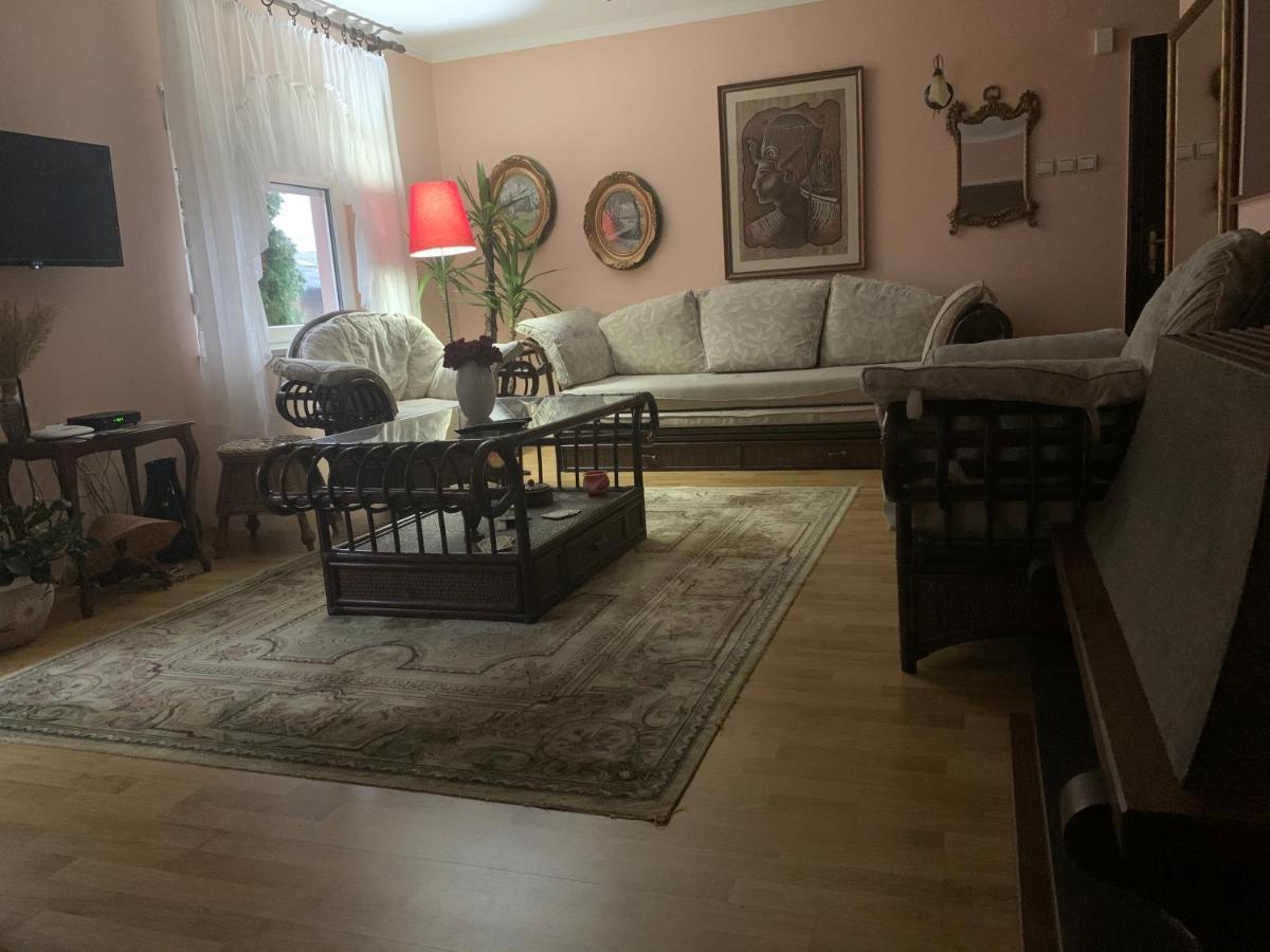 Apartmani Stojanovic Sremska Kamenica Buitenkant foto