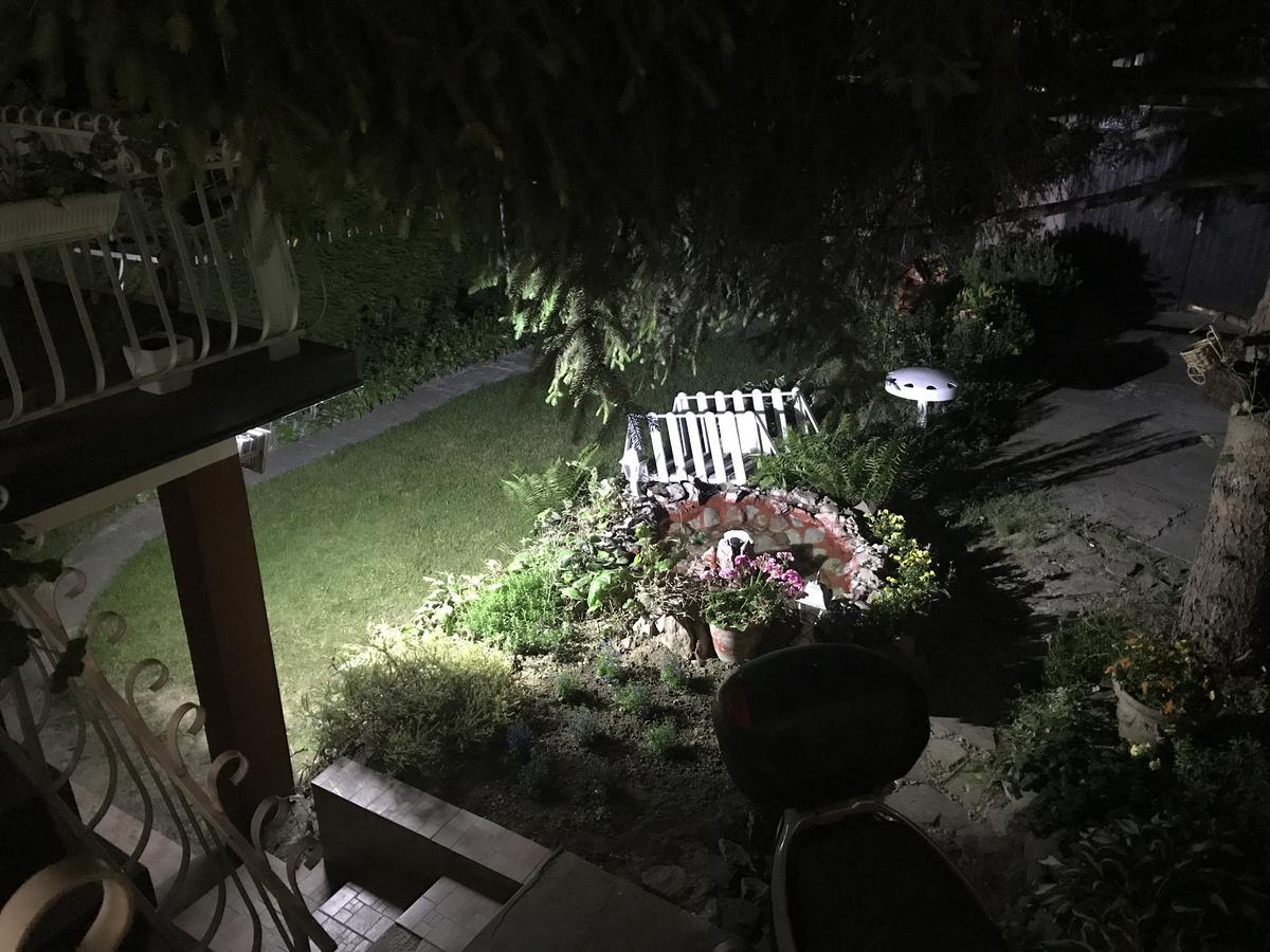Apartmani Stojanovic Sremska Kamenica Buitenkant foto