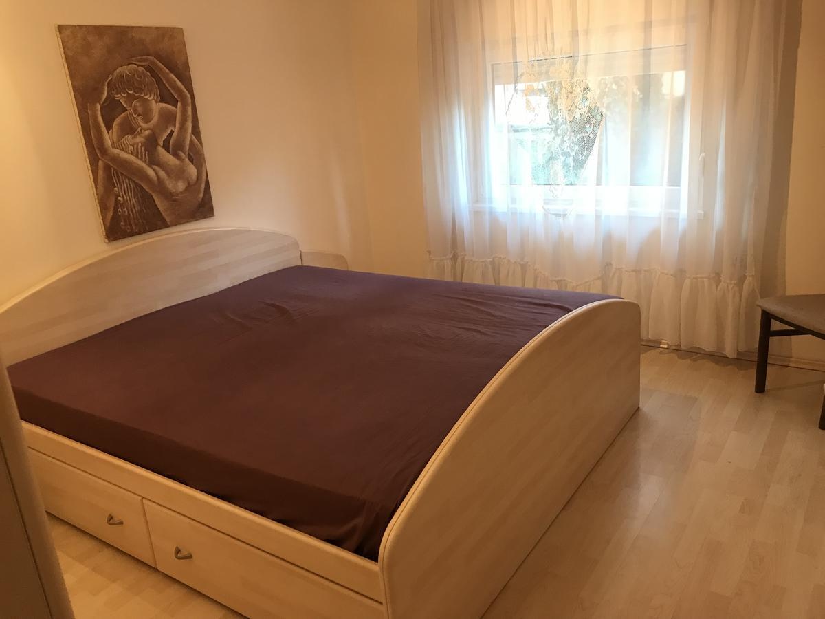 Apartmani Stojanovic Sremska Kamenica Kamer foto