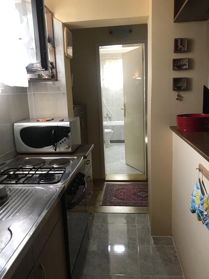 Apartmani Stojanovic Sremska Kamenica Buitenkant foto