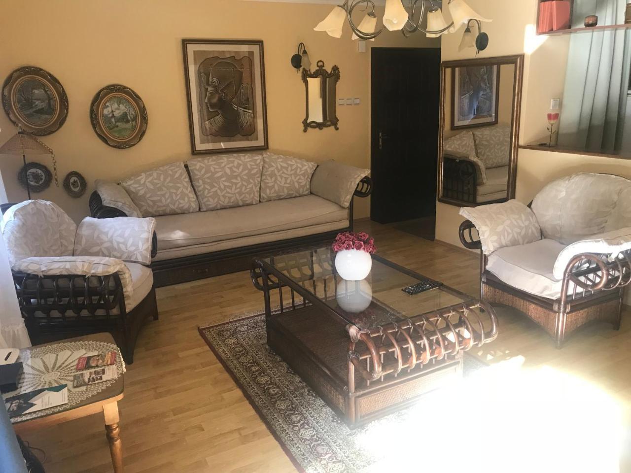 Apartmani Stojanovic Sremska Kamenica Buitenkant foto