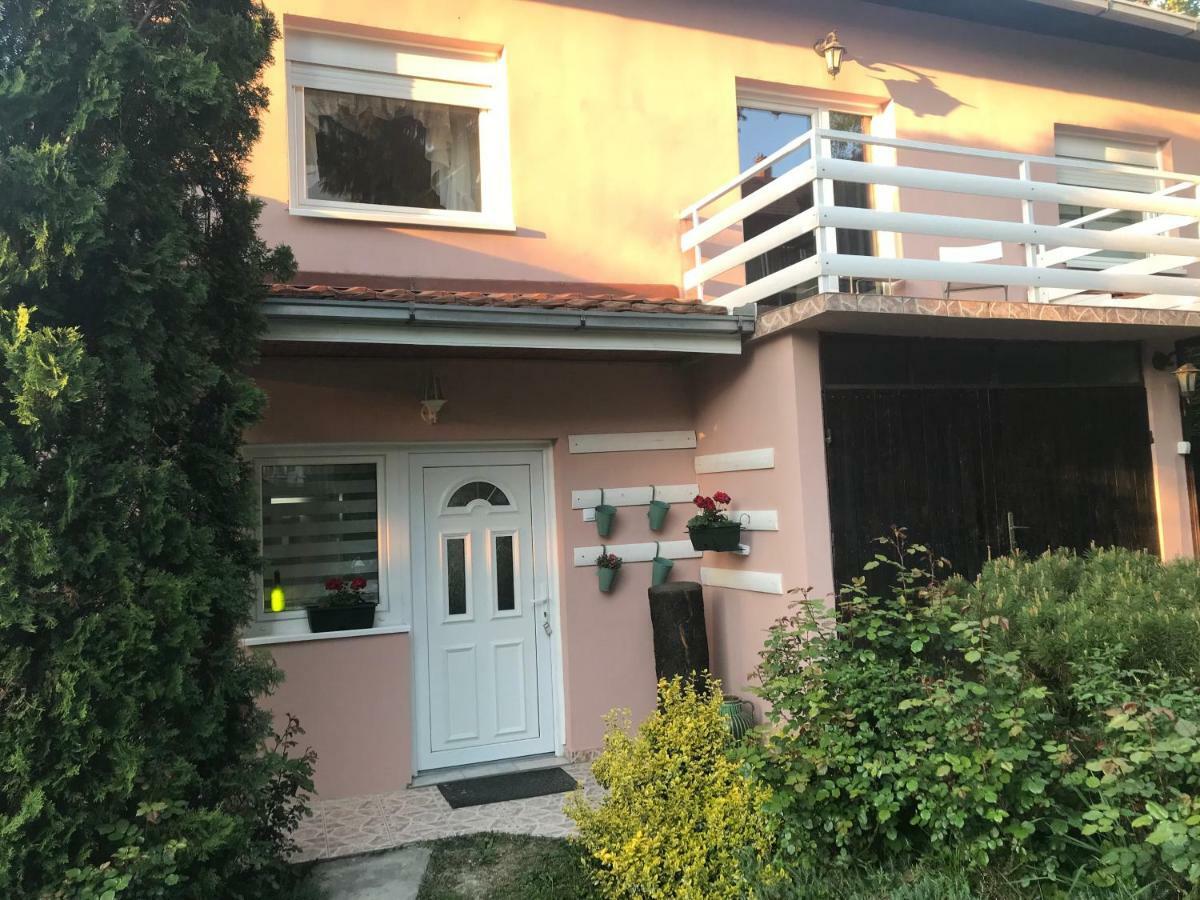 Apartmani Stojanovic Sremska Kamenica Buitenkant foto