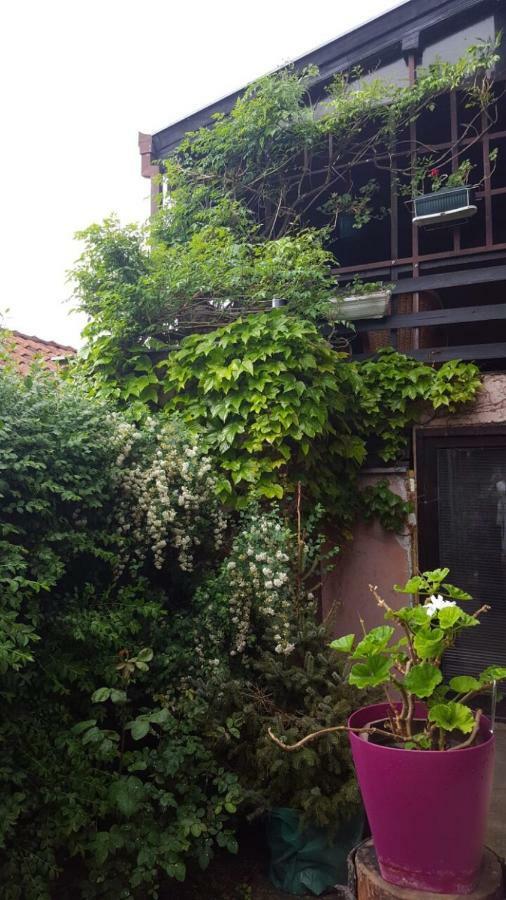 Apartmani Stojanovic Sremska Kamenica Buitenkant foto