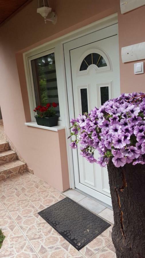 Apartmani Stojanovic Sremska Kamenica Buitenkant foto