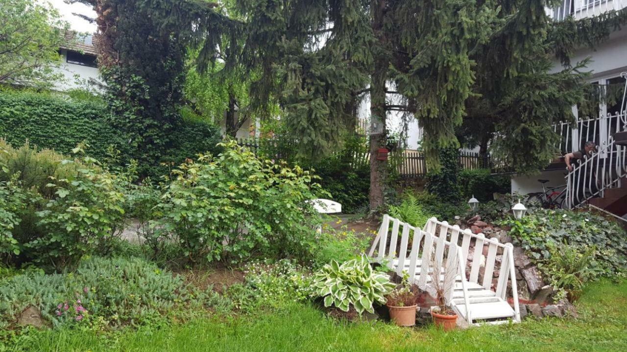 Apartmani Stojanovic Sremska Kamenica Buitenkant foto