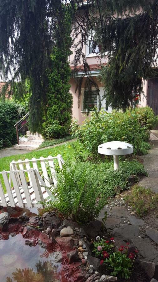 Apartmani Stojanovic Sremska Kamenica Buitenkant foto